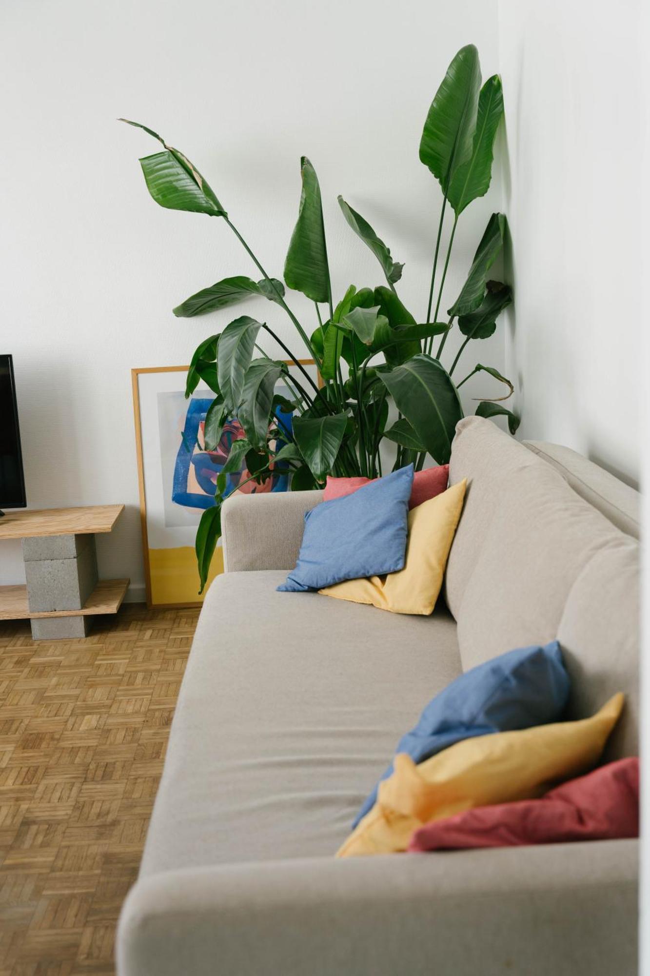Centrally Located Apartment Close To The Beach 오스텐드 외부 사진